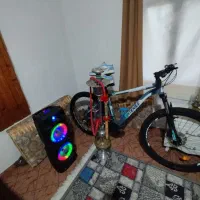 دوچرخه اینتنز