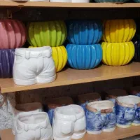 انواع گلدان و زیرگلدان رنگی فانتزی کارتونی بچگانه