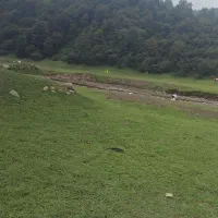 نگهبان