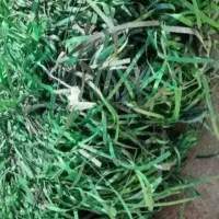 خرید تسمه  نایلون و گونی وجامبو ضایعات