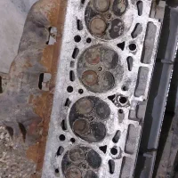 سر سلند شماره ۱۰ زانتیای سالم
