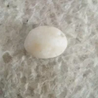 سنگ|جواهرات|کبودرآهنگ, |دیوار