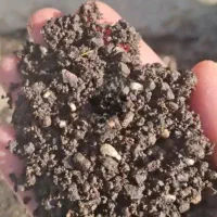 کود گرانولی NPK+S معجزه میکنه برات