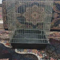 قفس کاسکوی