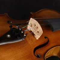 ویولن++ آغاز یک سفر موسیقایی