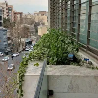 ۱۰۰۰متر سنداداری۵ساله براصلی دولت تکواحدی