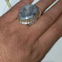 انگشتر شجر .تراش مصور