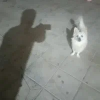 به خاطرکم بود جا