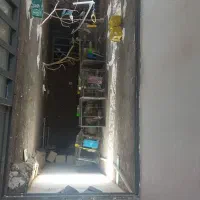 پذیرش واگذاری پرنده خانگی شما
