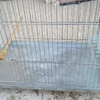 قفس پرنده اک اک