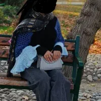 مجلسی،بافتنی،مزونی