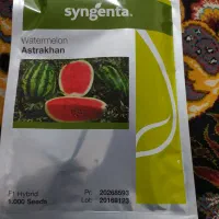 بذر هندوانه