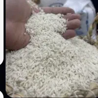 برنج هاشمی گیلان(برداشت یک زمینه)