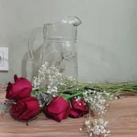 فروش ظروف