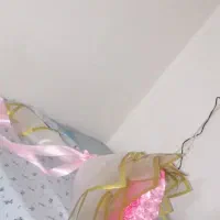 گل روبانی صورتی