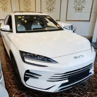 کارشناس فروش خودرو. خانم و آقا
