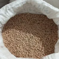 نخود