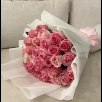 عکاسی