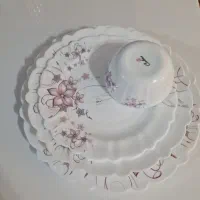 سرویس ۳۰ نفره آرکوپال