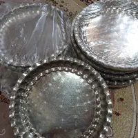 دیس استیل نگیر ۳۰ سانت