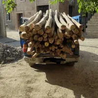 خرید و برش همه نوع چوب تر‌،خشک‌تیر
