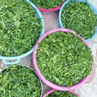 محصولات خانگی