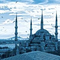 وان*ترابزون*انتالیا*استانبول*تخفیف ویژه