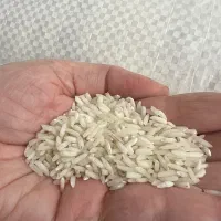 برنج هاشمی درجه یک