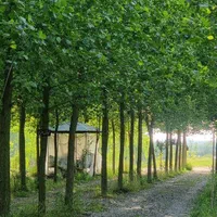 ویلایی دنج برای فرار از شلوغی شهر