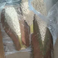 گرده درخت خرما نر