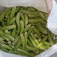 بامیه درشت اهواز