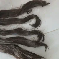 موومصنوعی برای شنیون