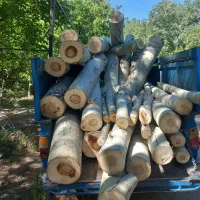 خرید و فروش انواع چوب