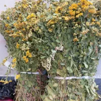 فروش شاهسپرم