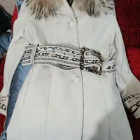 پالتو
