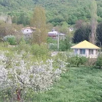 کارگر باغ اتباع مجرد