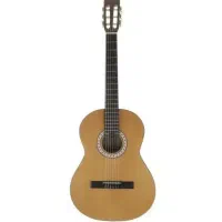 گیتار parsi m1