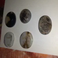 شجر قائنات نگین سایز درشت