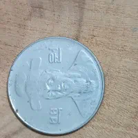 سکه