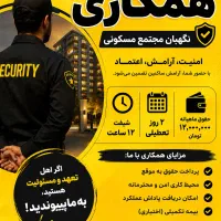 استخدام نیروی نگهبان