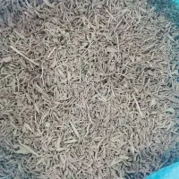 آویشن|خوردنی و آشامیدنی|ایلام, |دیوار