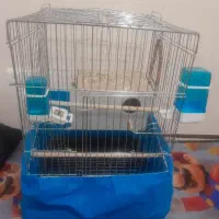 قفس