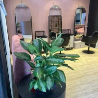 استخدام مژه کار ناخن کار فوری