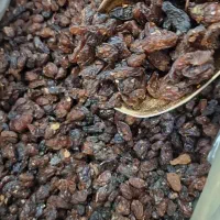 کشمش آفتابی(گله)  کاشمر با بازدهی بالا