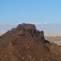 کود گاوی وگوسفندی