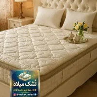 تشک بست