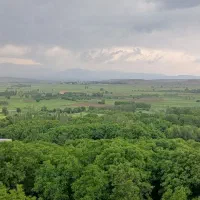 بذر خشه تمیز و درجه۱