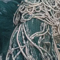 طور محاصره ای