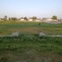 فروش-زمین-مسکونی-ساحلی-800-متری