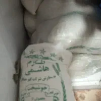 فروش برنج طارم هاشمی